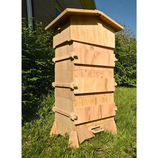 Barcelona Warré Beehive in use