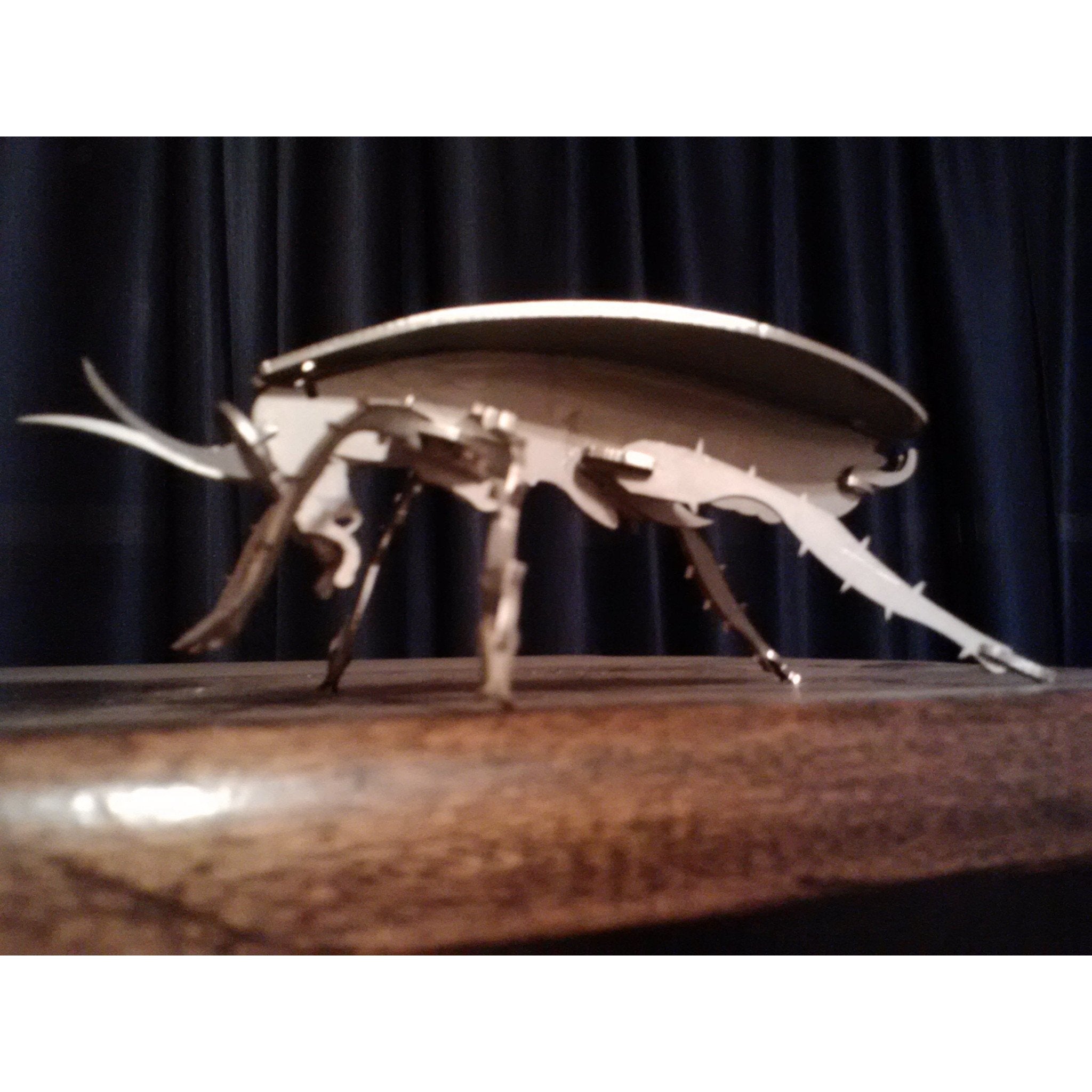 Cockroach – Obrary