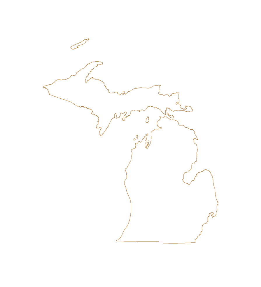 State of Michigan outline vector