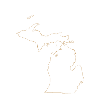 State of Michigan outline vector