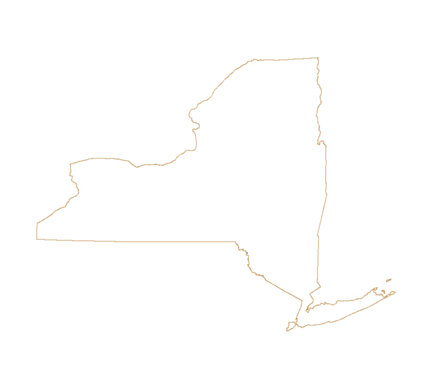 State of New York outline vector