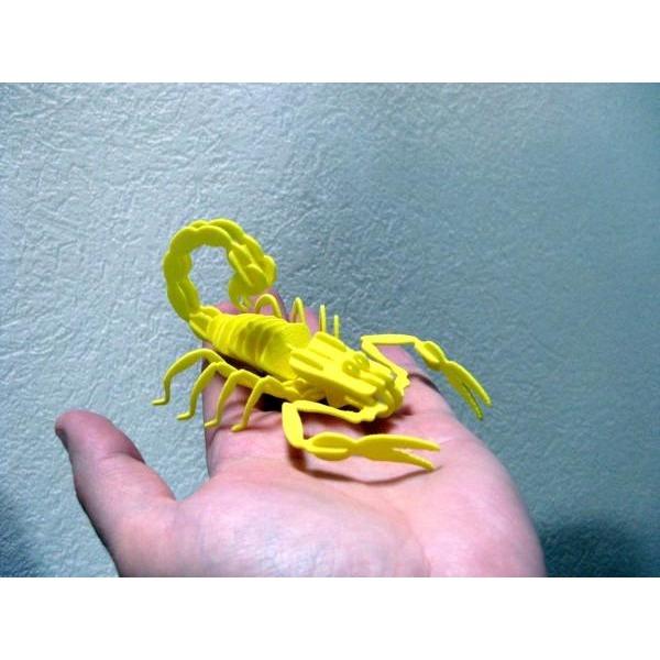 Scorpion